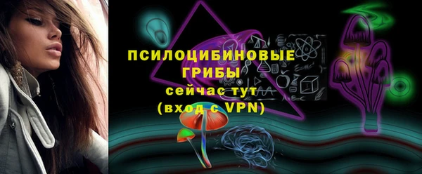 ПСИЛОЦИБИНОВЫЕ ГРИБЫ Костерёво