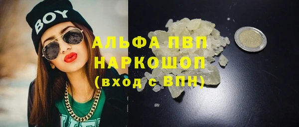 ECSTASY Кукмор