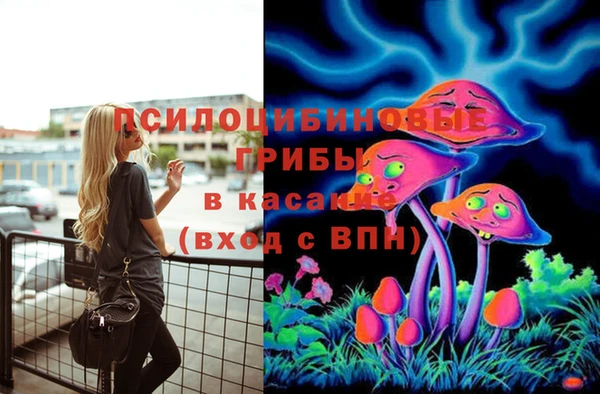 ECSTASY Кукмор