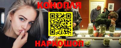 стафф Камышлов
