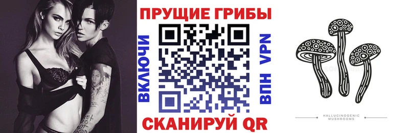 Псилоцибиновые грибы мицелий купить Мелеуз