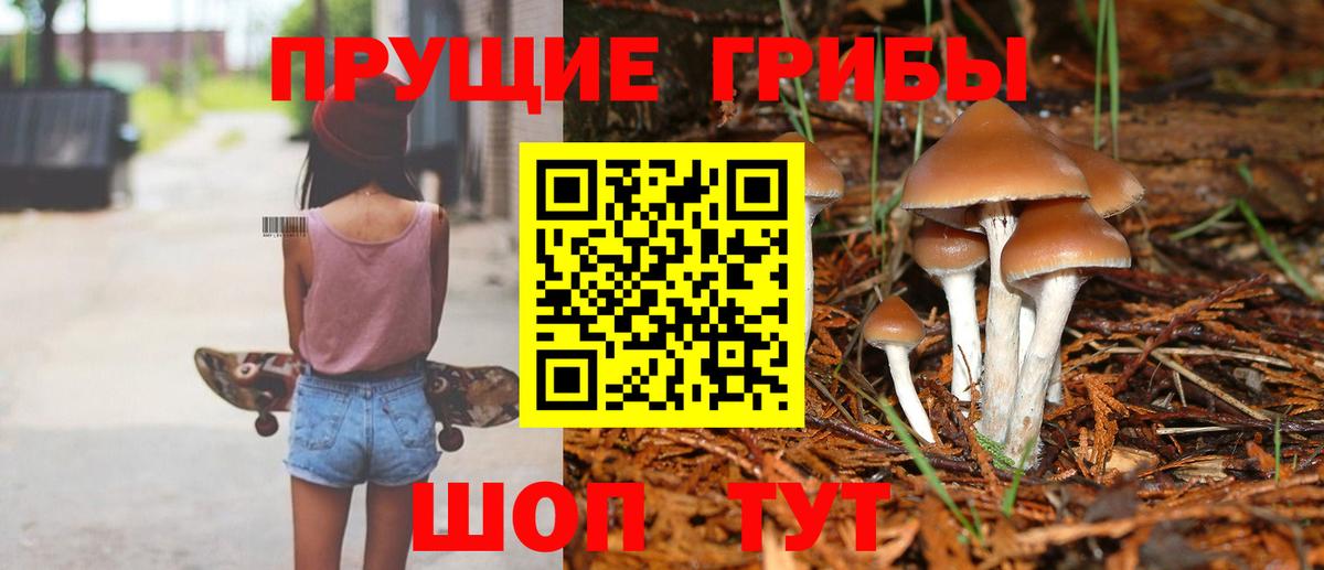 Псилоцибиновые грибы GOLDEN TEACHER Мелеуз