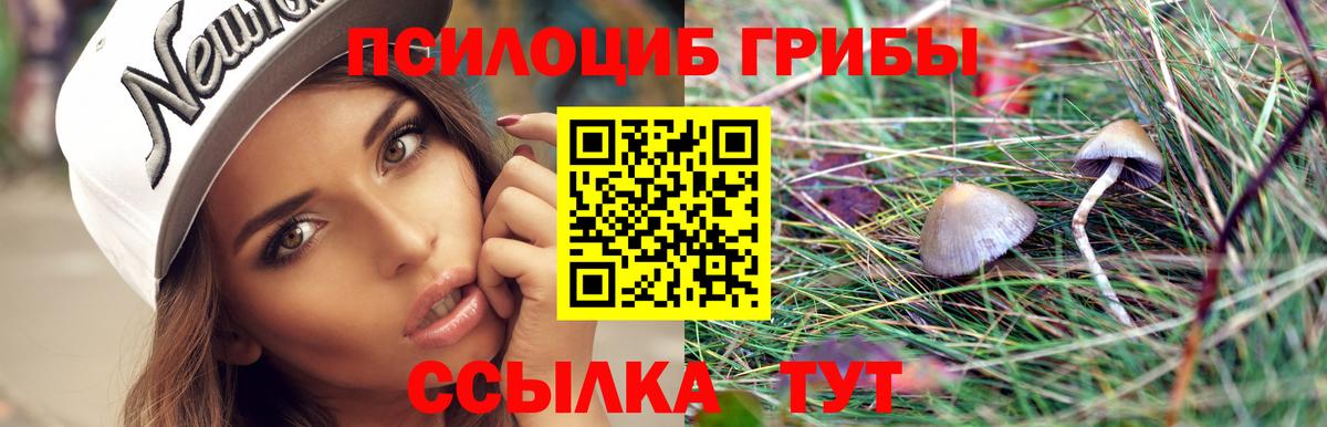 Галлюциногенные грибы GOLDEN TEACHER  Мелеуз  Галлюциногенные грибы мицелий 