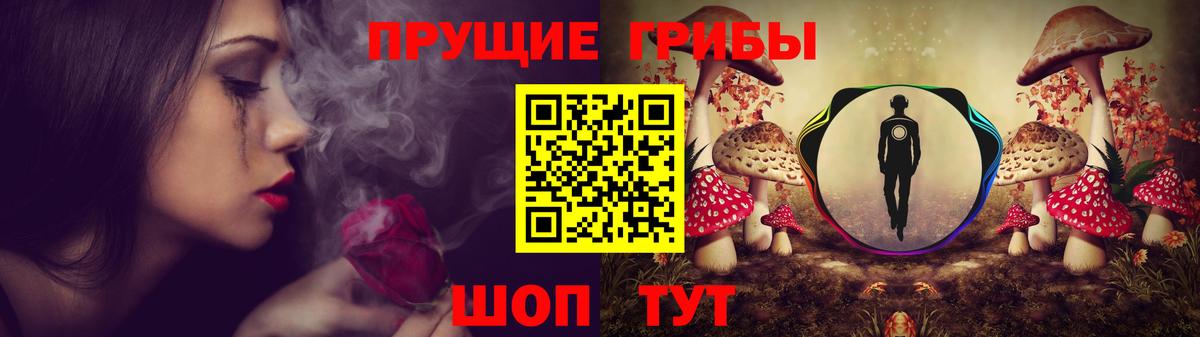 Псилоцибиновые грибы ЛСД Мелеуз